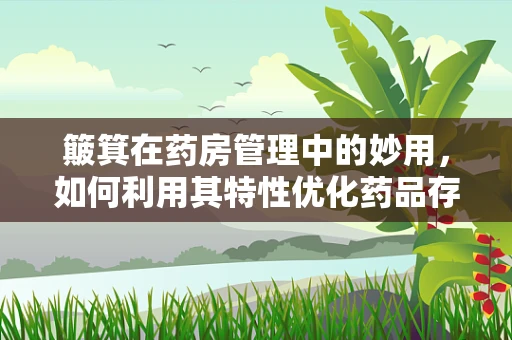 簸箕在药房管理中的妙用，如何利用其特性优化药品存储？