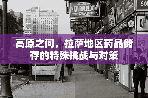 高原之问，拉萨地区药品储存的特殊挑战与对策