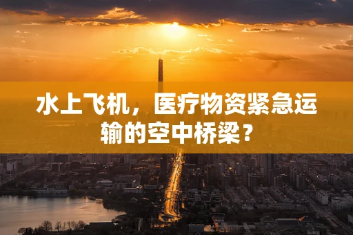 水上飞机，医疗物资紧急运输的空中桥梁？