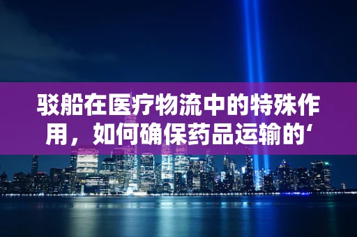 驳船在医疗物流中的特殊作用，如何确保药品运输的‘无缝衔接’？