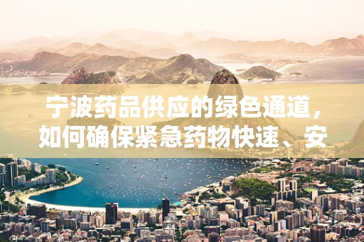 宁波药品供应的绿色通道，如何确保紧急药物快速、安全送达？
