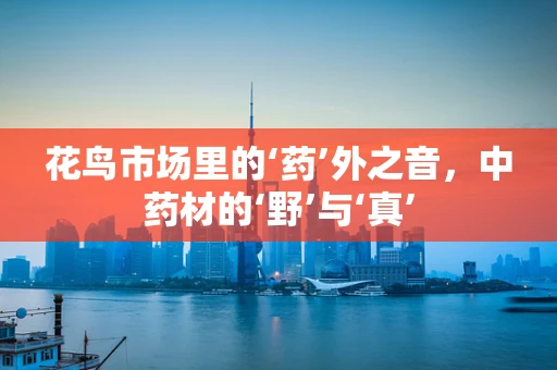 花鸟市场里的‘药’外之音，中药材的‘野’与‘真’