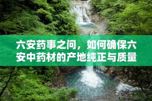六安药事之问，如何确保六安中药材的产地纯正与质量稳定？