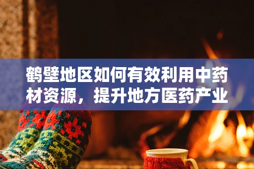 鹤壁地区如何有效利用中药材资源，提升地方医药产业？
