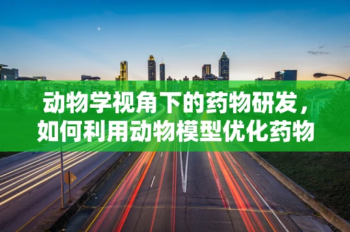 动物学视角下的药物研发，如何利用动物模型优化药物疗效？