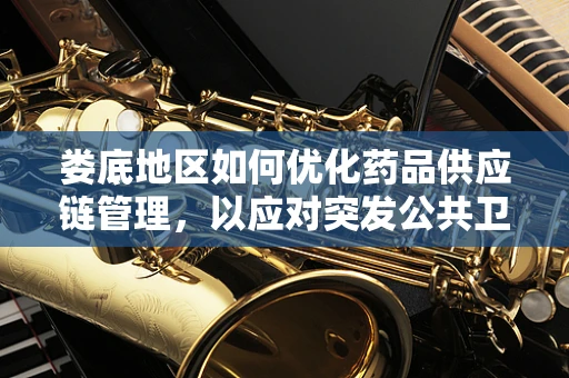 娄底地区如何优化药品供应链管理，以应对突发公共卫生事件？