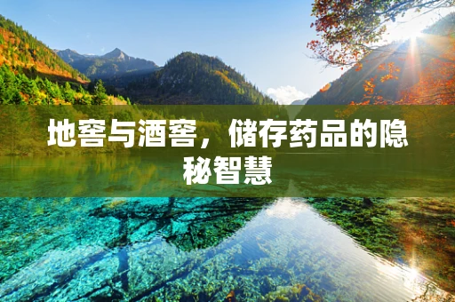 地窖与酒窖，储存药品的隐秘智慧