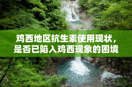 鸡西地区抗生素使用现状，是否已陷入鸡西现象的困境？