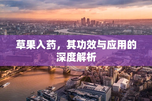 草果入药，其功效与应用的深度解析