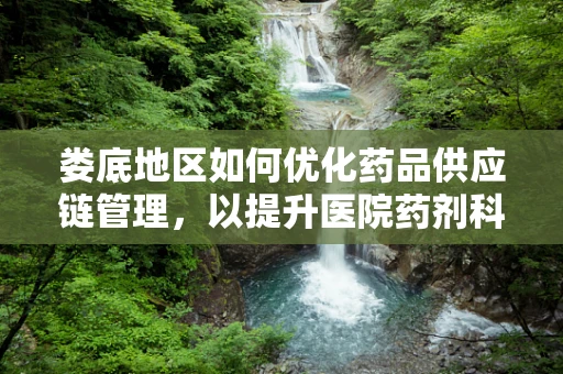 娄底地区如何优化药品供应链管理，以提升医院药剂科效率？