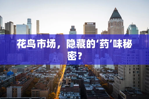 花鸟市场，隐藏的‘药’味秘密？