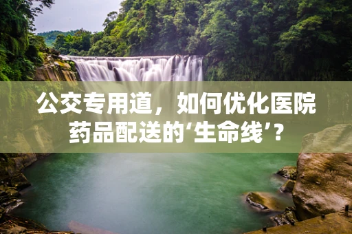 公交专用道，如何优化医院药品配送的‘生命线’？