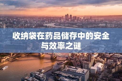 收纳袋在药品储存中的安全与效率之谜