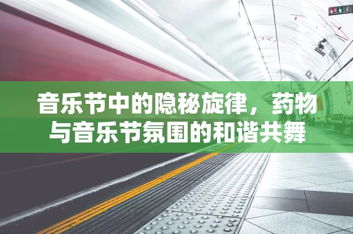 音乐节中的隐秘旋律，药物与音乐节氛围的和谐共舞