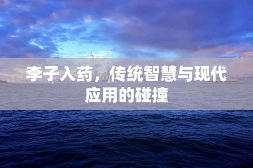 李子入药，传统智慧与现代应用的碰撞