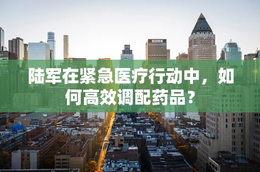 陆军在紧急医疗行动中，如何高效调配药品？