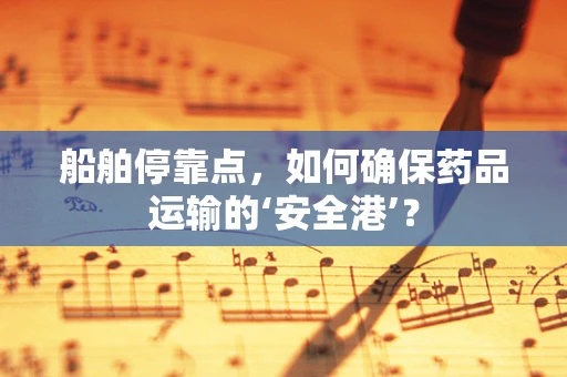船舶停靠点，如何确保药品运输的‘安全港’？