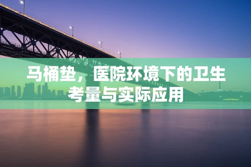 马桶垫，医院环境下的卫生考量与实际应用