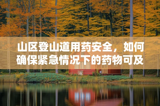 山区登山道用药安全，如何确保紧急情况下的药物可及性？