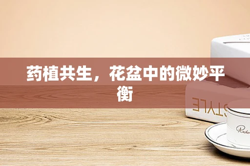 药植共生，花盆中的微妙平衡