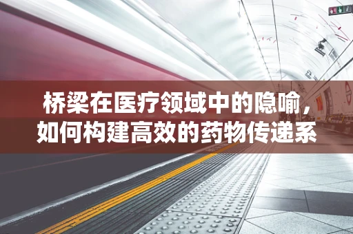 桥梁在医疗领域中的隐喻，如何构建高效的药物传递系统？