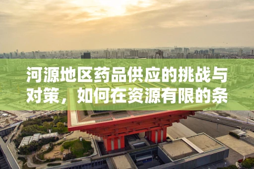 河源地区药品供应的挑战与对策，如何在资源有限的条件下保障药品供应？