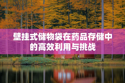 壁挂式储物袋在药品存储中的高效利用与挑战