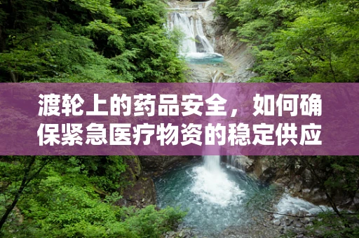 渡轮上的药品安全，如何确保紧急医疗物资的稳定供应？