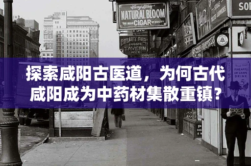 探索咸阳古医道，为何古代咸阳成为中药材集散重镇？