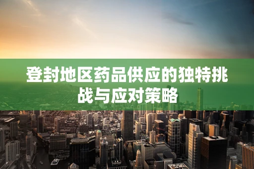登封地区药品供应的独特挑战与应对策略