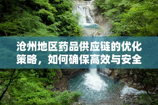 沧州地区药品供应链的优化策略，如何确保高效与安全？