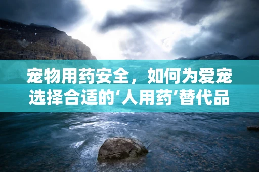 宠物用药安全，如何为爱宠选择合适的‘人用药’替代品？