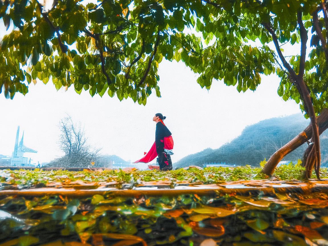 牧场用药安全，如何确保奶牛健康与牛奶质量？